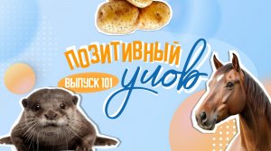 Колбасный адвент-календарь и янтарный кокошник. "Позитивный улов"