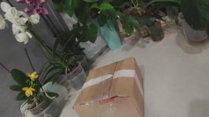 VLOG это шедевр- такого подарка я не ожидала. Заготовки- Фрикадельки из рыбы и филе в вакууме