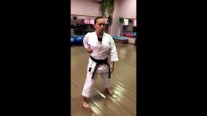 3. Традиционное Каратэ Изучение техники ударов