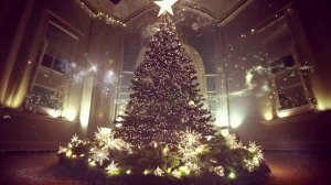 футаж - Новогодняя Елка под ваши титры