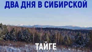 Два дня в сибирской тайге
