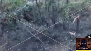 Наш боец словил очередь в упор по бронежилету и выжил