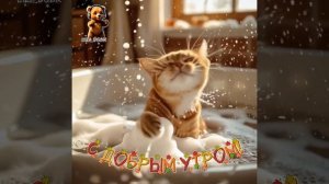 С добрым утром! #доброеутро #сдобрымутром