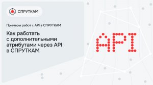 Как работать с дополнительными атрибутами через API в СПРУТКАМ