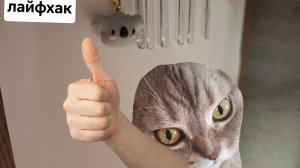 лёгкий и халтурный лайфхак! если некуда складывать ручки 👍