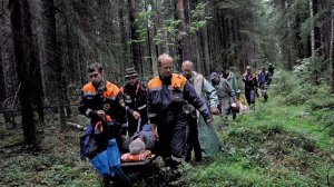 Историй от Тех, Кто Столкнулся с НЕЧТОМ в Глухих Лесах России.