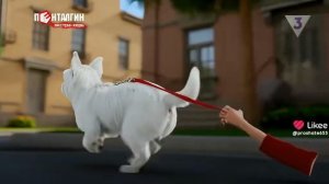 типичная реклама