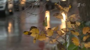 Квартирный скам по «схеме Долиной»: Верховный суд для судей не указ?