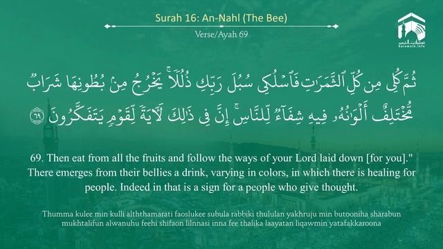 16.Сура «Ан-Нахль» (Пчёлы) — 128 аята.