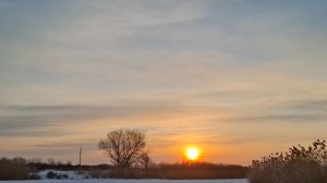 УТАСКИВАЮТ УДОЧКИ!!! ДИКИЙ ЖОР ПЛОТВЫ! Зимняя рыбалка с комфортом.