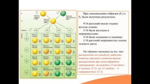Видео-встреча по биологии 10.12.2025