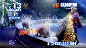 #Цирк Филатовых #Дед мороз в стране медведей #Нижний Тагил #Нижнетагильский цирк