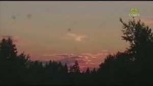 КАЛИКИ ПЕРЕХОЖИЕ. «Нужно сделать этот шаг. Так Матерь Божия решила». Голубь из облаков и Белая Русь