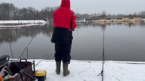 Поимки на донки