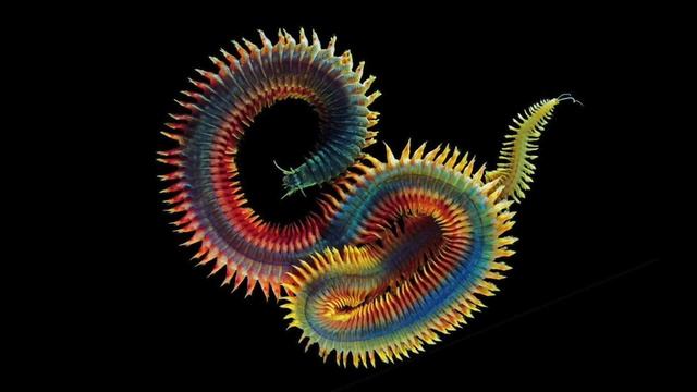 Experimental Techno Mix #7