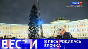 Вести Санкт-Петербург. Выпуск 09.30 от 10.12.2025