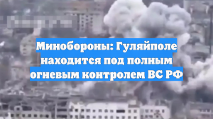Минобороны: Гуляйполе находится под полным огневым контролем ВС РФ