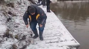 СЗ.На железо