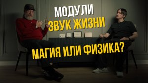 Модули «Звук Жизни»: как я улучшил звучание своей системы? | Сергей Столяров