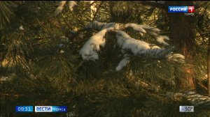 Вести-Томск, выпуск от 10.12.2025 09:30