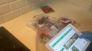 Какие томаты посажу.