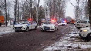 Кортеж елки в Кремль