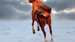 Футаж. Огненный конь. Новый год.