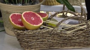 Моя Оранжерея