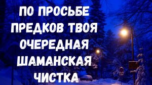 ПО ПРОСЬБЕ ПРЕДКОВ ТВОЯ ОЧЕРЕДНАЯ ШАМАНСКАЯ ЧИСТКА