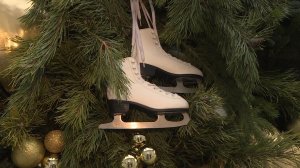 Полтысячи елок украсят на Рязанской ВДНХ