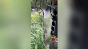 Двое москвичей задержаны сотрудниками полиции по подозрению в незаконном обороте каннабиса