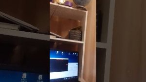 стрим в Андертейл и соника