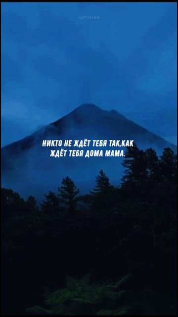 #1038 Цитата дня. Мотивация.