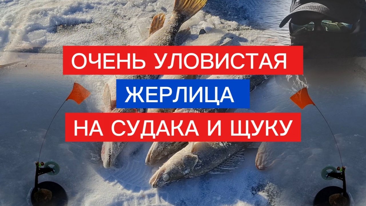 УЛОВИСТАЯ ЖЕРЛИЦА на СУДАКА и ЩУКУ! ЭФФЕКТИВНАЯ жерлица для ловли судака и щуки своими руками.