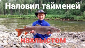 Наловил тайменей нахлыстом