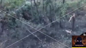 пишут бронежилет РФ выдержал очередь из автомата в упор!