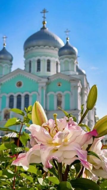 Душевный лекарь#Церковь#shortvideo#shorts#Молитва#Православие смотреть онлайн