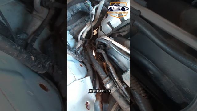 Зелёная автотека панацея?