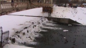 vatravel.ru Пешеходный мост через Орлик (г.Орел)