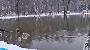 Запуск 10 Декабря