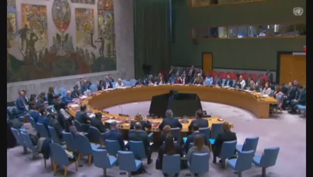 Совет Безопасности ООН проводит заседание по поводу ситуации на Украине, 9 декабря 2025 года
