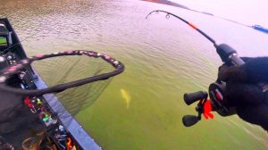 ЗЛЫЕ УДАРЫ НА ЗИМНЮЮ УДОЧКУ! РЫБАЛКА ! ПЕРВЫЙ ЛЁД 2025 ЖДЁМ!