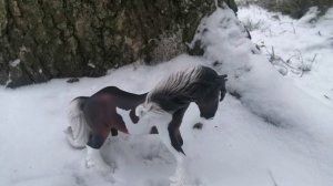 Зимний фотосет 😍 наконец-то выпал снег 🥳