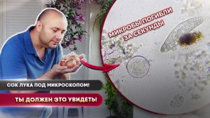 Что делает ЛУК с микробами под микроскопом?!  Это просто ЖЕСТЬ!