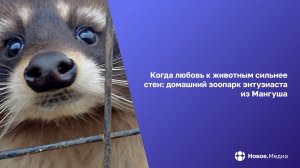 Дом в Мангуше, где живет природа