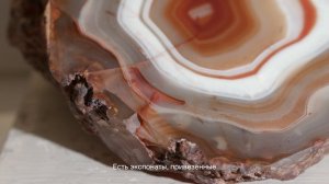 Музейные заметки | Витрина