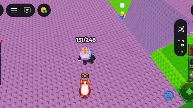 играю в find a brainrot смотреть онлайн