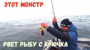 МОНСТР ПОД ЛОДКОЙ ВОРУЕТ ТРЕСКУ ПРЯМО С КРЮЧКА!