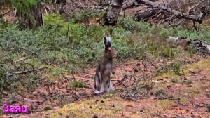 Ответы на Вопросы по Мистике от 10.12.25