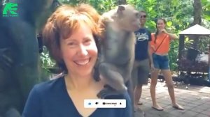 Женские неловкие моменты, заснятые на камеру видеонаблюдения, ПЛОХОЙ ДЕНЬ НА РАБОТЕ